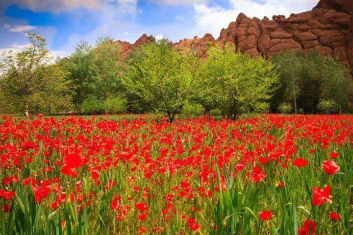 Auberge La Belle Vue Dades Akhendachou n'Ait Ouffi Luaran gambar